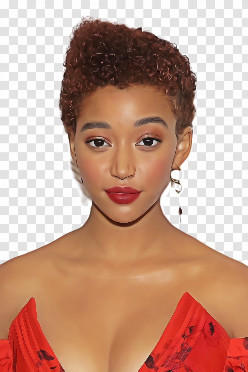 Amandla Stenberg Hairstyle Brown Hair Afro - Forehead - Beehive Lace Wig Transparent PNG