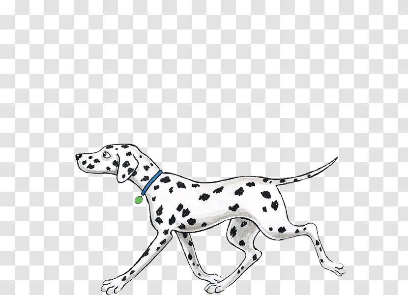 Dalmatian Dog Puppy Hairy Maclary From Donaldson's Dairy Breed - Child - Scooters. Clipart Transparent PNG