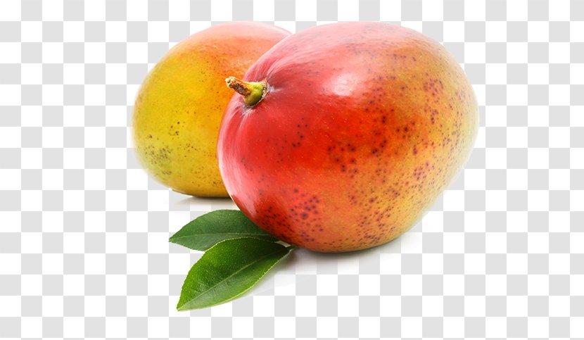Stock Photography Fruit Mangifera Indica Royalty-free - Accessory - Mango Transparent PNG