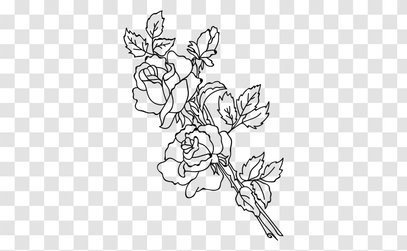 Plant Stem Floral Design Rose Drawing Flower - A Grappolo Transparent PNG
