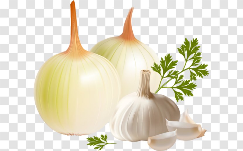 Garlic Onion Vegetable - Capsicum Annuum - Material Transparent PNG