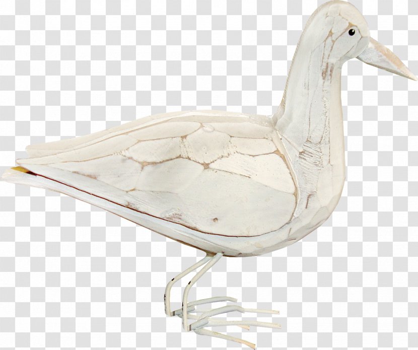 Duck American Pekin Domestic Goose - Bird - White Transparent PNG