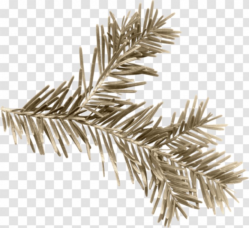Pine Needles - Christmas Ornament - Fir Transparent PNG