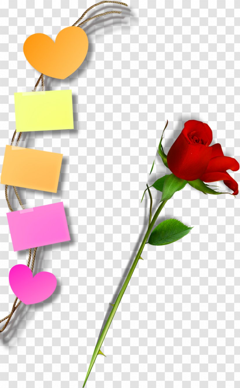Floral Design Download Clip Art - Cartoon - Roses Notes Elements Transparent PNG