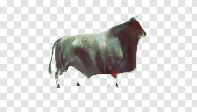 Drawing Artist Dairy Cattle - Snout Transparent PNG