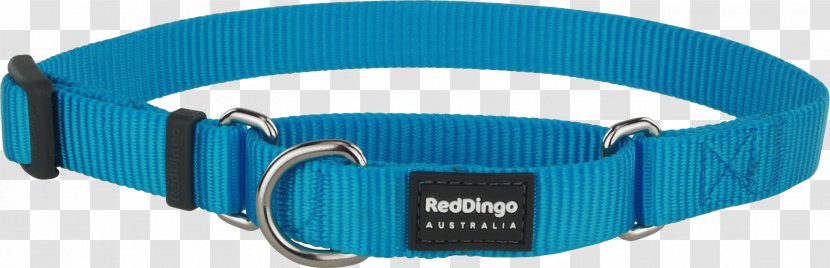 Dog Collar Dingo Martingale - Electric Blue Transparent PNG