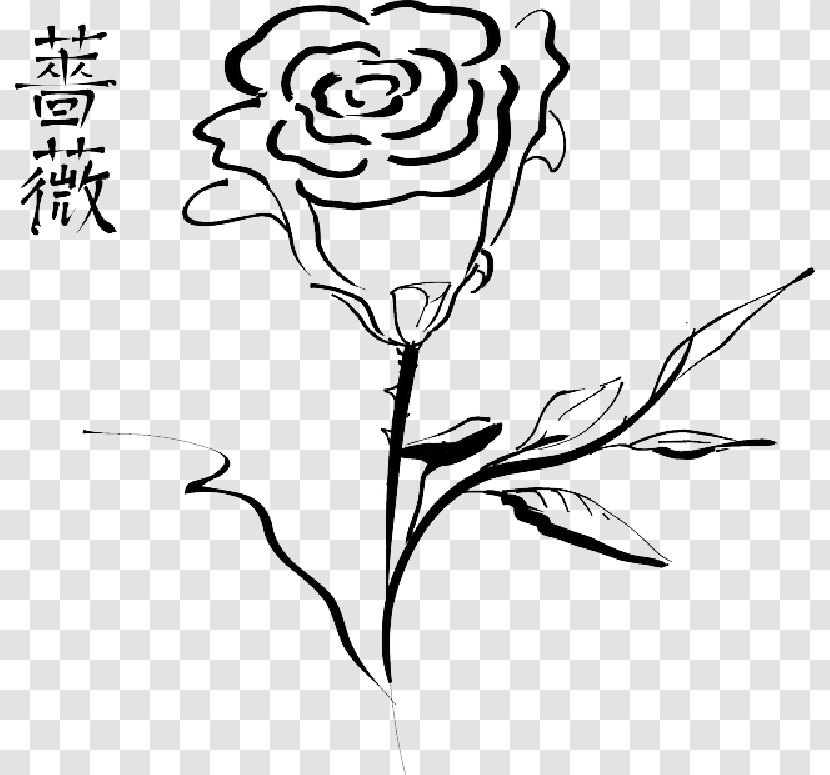 Clip Art Vector Graphics Rose Free Content - Plant - Flower Calligraphy Transparent PNG
