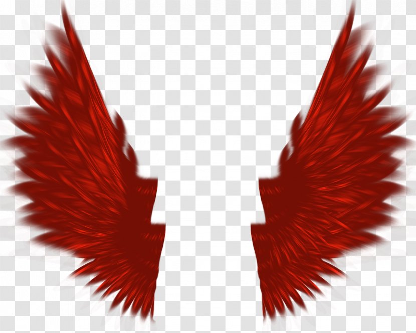 Red Icon - Flower - Wings Transparent PNG