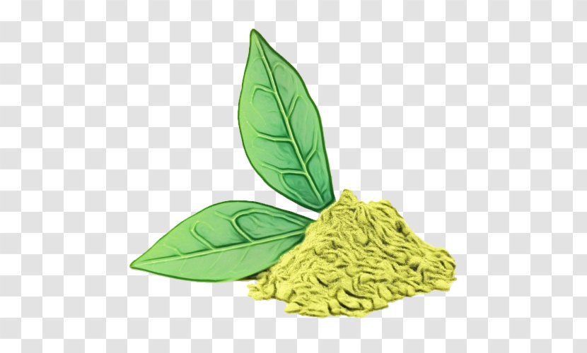 Green Tea Leaf - Herb - Lemon Basil Food Transparent PNG