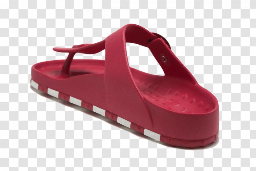Sportie LA Sandal Shoe - Walking Transparent PNG