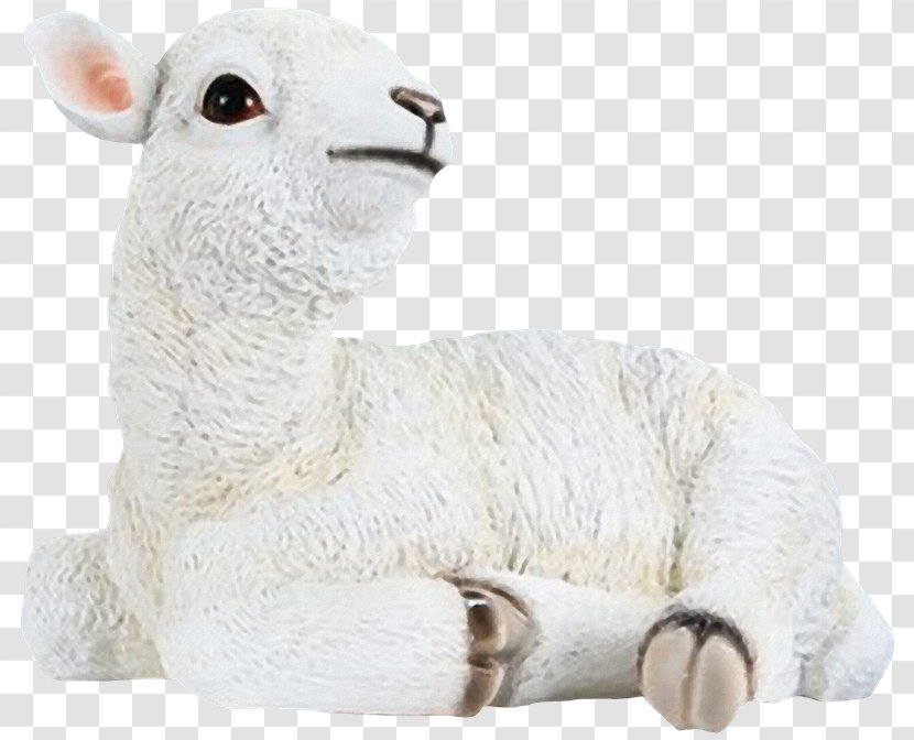 Sheep Goat Wool Glass Fiber - Llama - Hq Pictures Transparent PNG