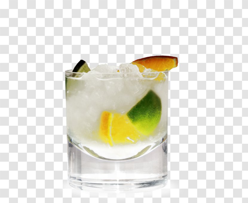 Caipirinha Gin And Tonic Caipiroska Cocktail Garnish Sea Breeze - Rum Transparent PNG