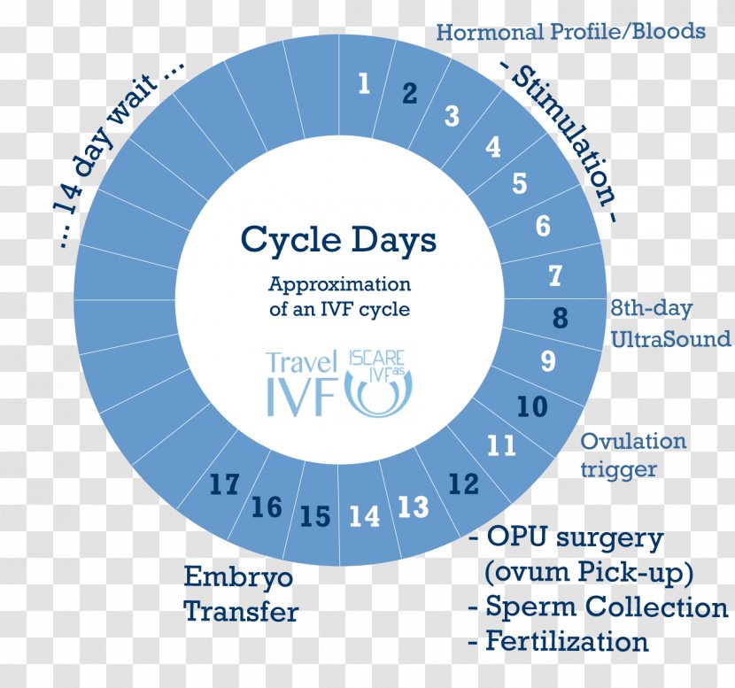In Vitro Fertilisation Egg Donation Embryo Transfer Menstrual Cycle Ovary - Heart - Frame Transparent PNG
