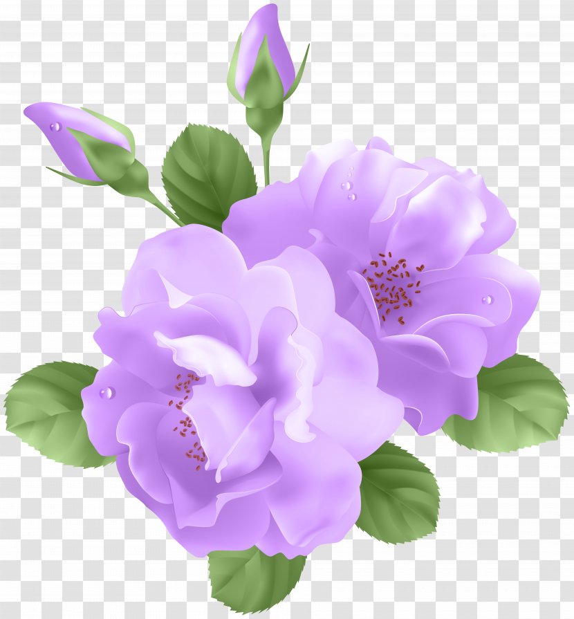 Purple Rose Flower Clip Art - Floral Design - Roses Transparent Transparent PNG