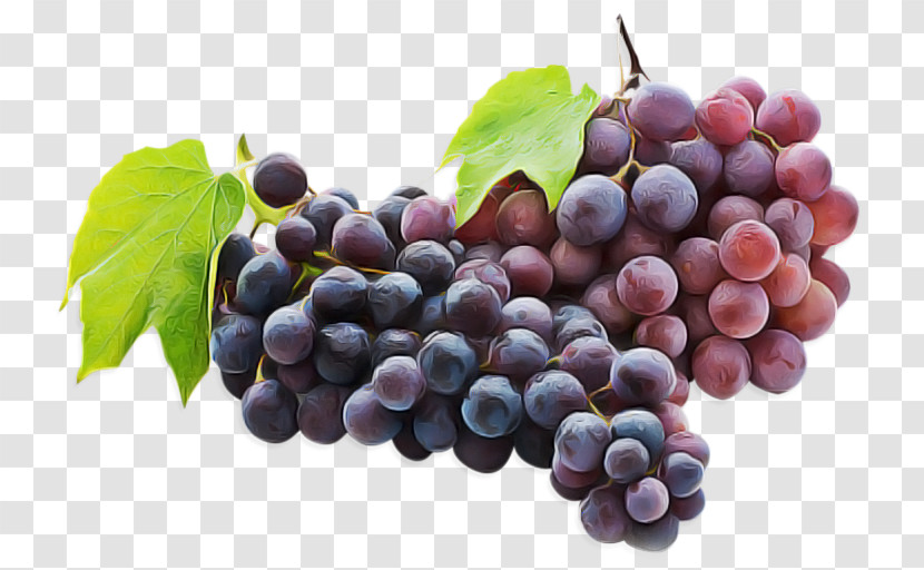 Grape Fruit Natural Foods Seedless Fruit Grapevine Family Transparent PNG