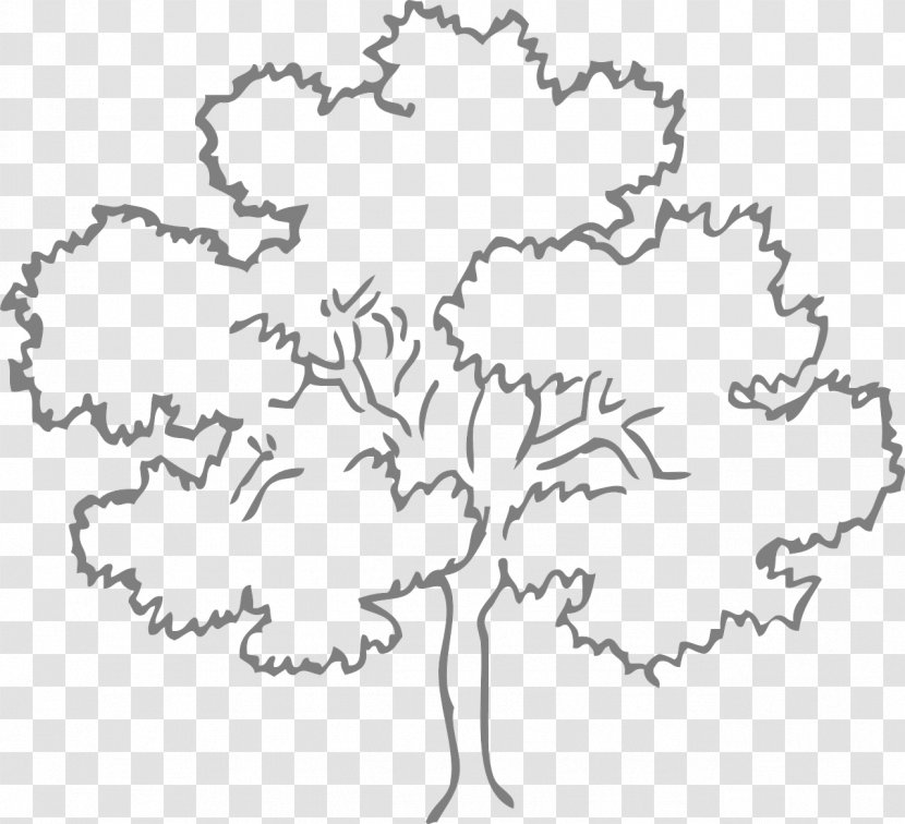 Family Tree Oak Clip Art - Silhouette - Eucalyptus Leaves Transparent PNG
