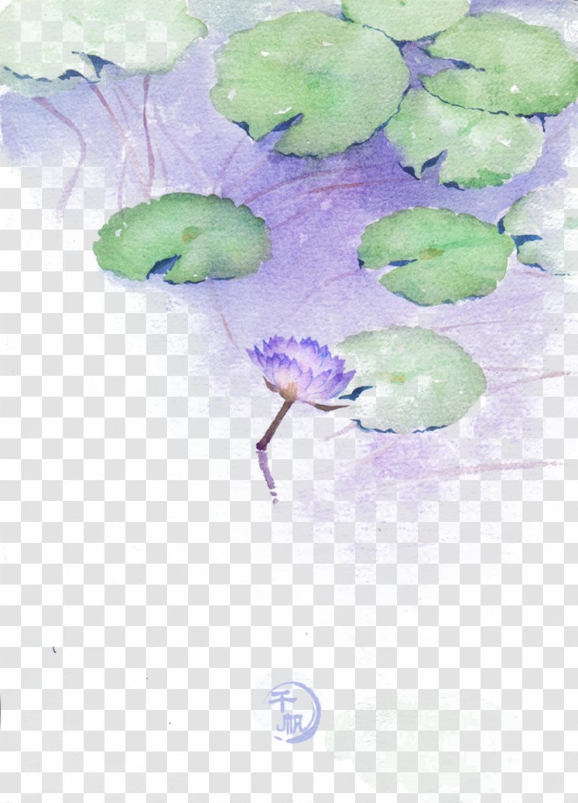 Purple Water Lily Picture Material - Symptom - Violet Transparent PNG