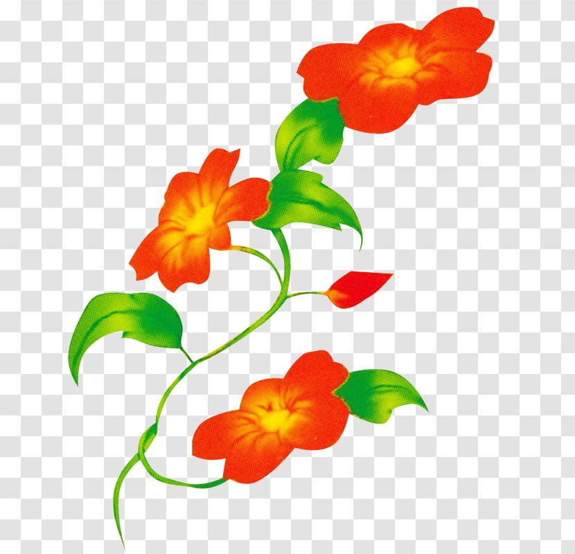 Floral Design Flower Clip Art - Ifwe Transparent PNG