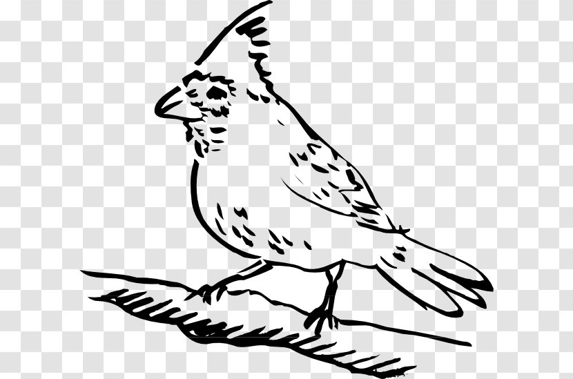 Bird Drawing Clip Art - Tree - Perched Raven Overlay Transparent PNG