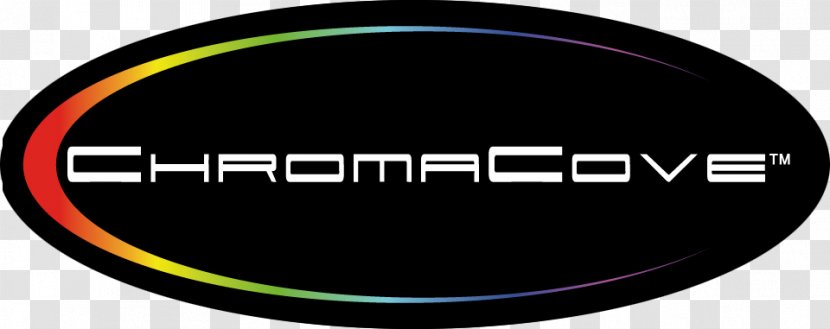 Logo Brand Desktop Wallpaper Font - International Romani Day Transparent PNG