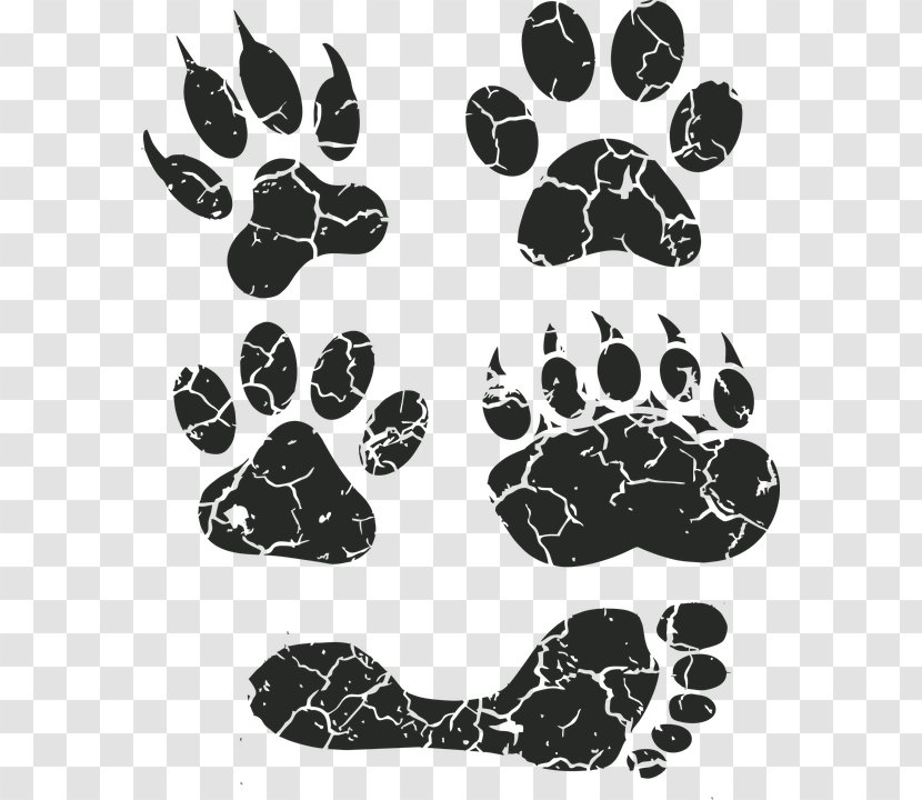 Dog Paw Footprint Animal Track Clip Art - Cat Transparent PNG