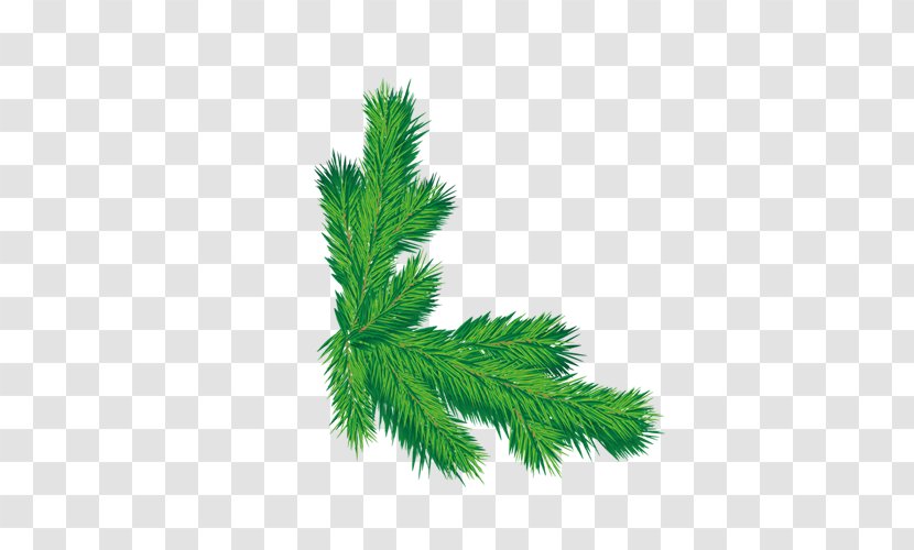 Santa Claus Christmas Tree Green - Plant Transparent PNG