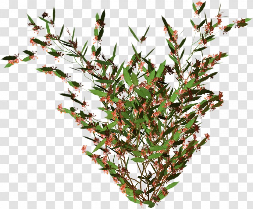 Tree Flower Leaf Clip Art - Plant Transparent PNG