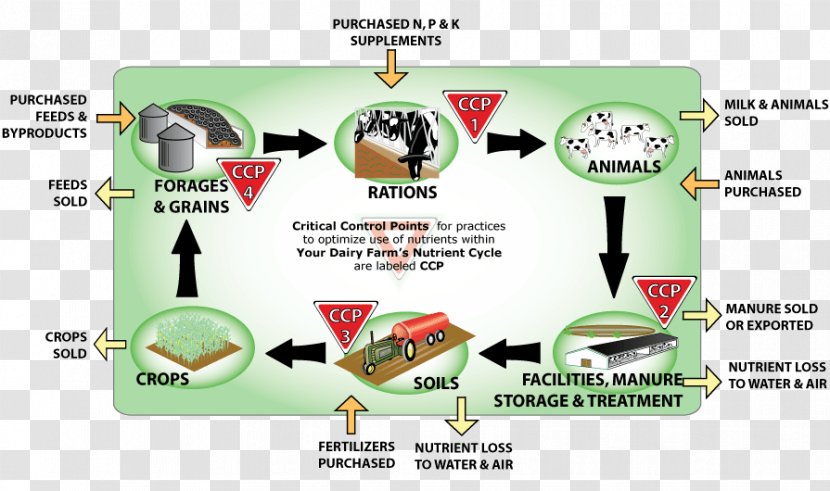 Nutrient Cycle Farm Agriculture Phosphorus - Food Fortification - Public Morality Propaganda Map Transparent PNG
