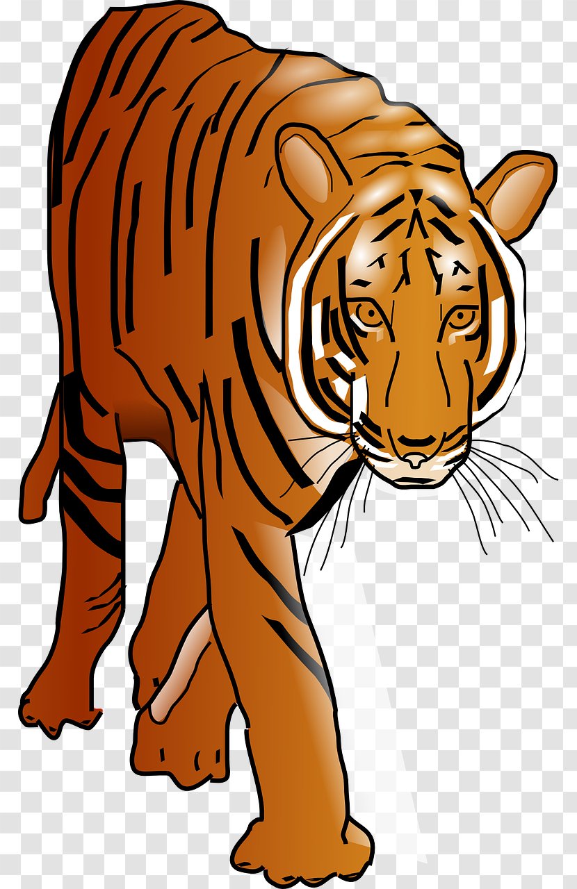 Cat Bengal Tiger Felidae Clip Art - Yellow Transparent PNG