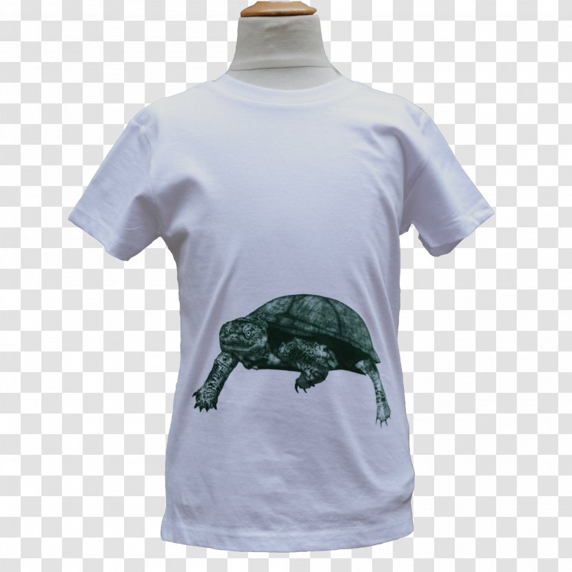 T-shirt Sleeve Teenage Mutant Ninja Turtles - Frame - Shirt-boy Transparent PNG