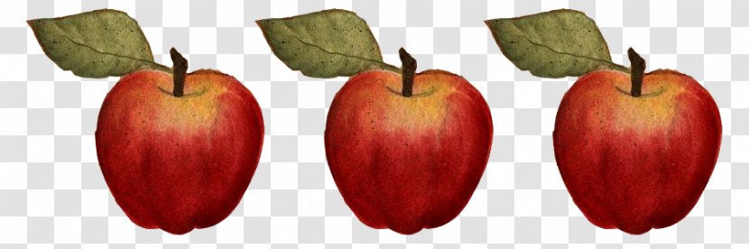 Accessory Fruit Apple Transparent PNG