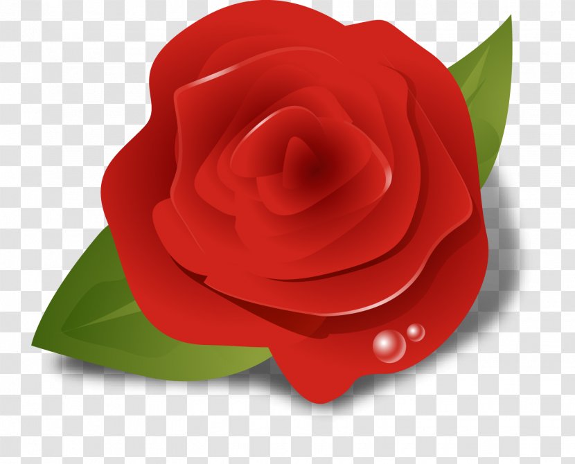 Garden Roses Clip Art - Petal - Rose 3D Vector Transparent PNG