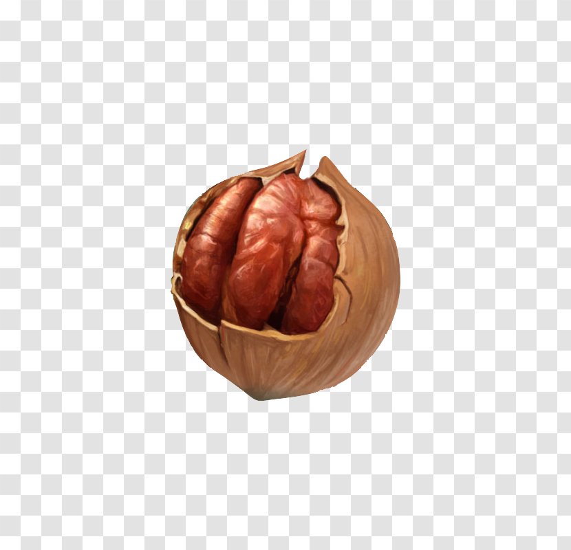 Walnut Dried Fruit - Heart Transparent PNG