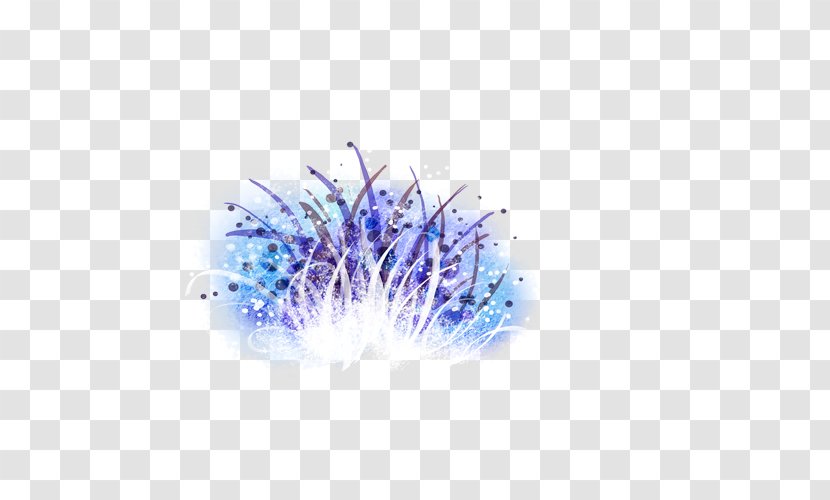 Light Landscape - Violet - Fireworks Transparent PNG