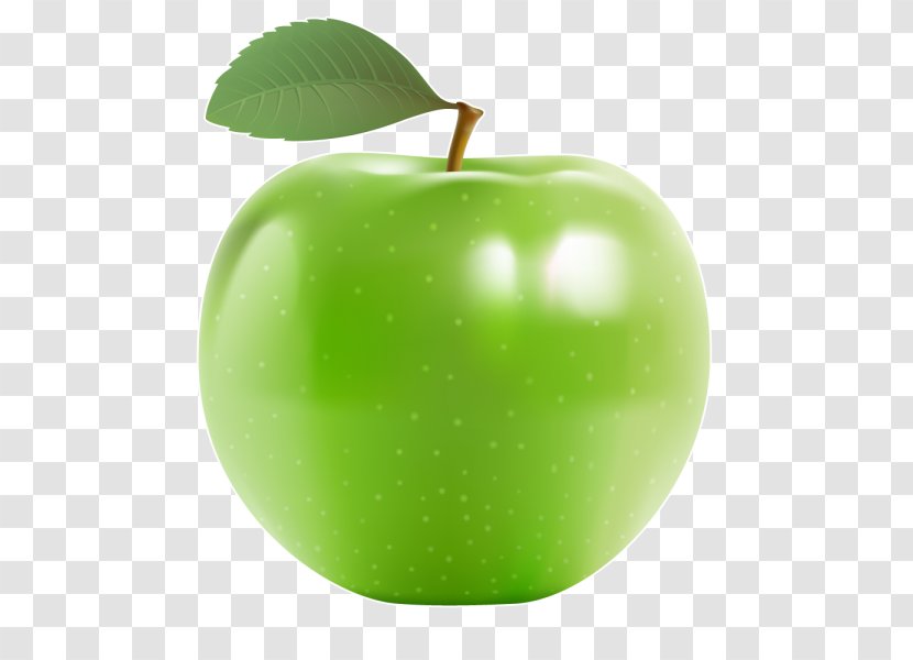 Apple Tree Drawing - Liqueur - Malus Mcintosh Transparent PNG