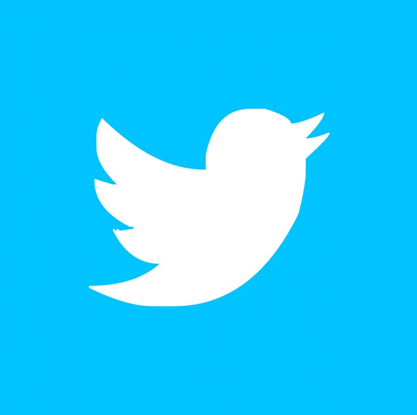 Social Media Marketing Snapchat Business - Bird - Twitter Transparent PNG