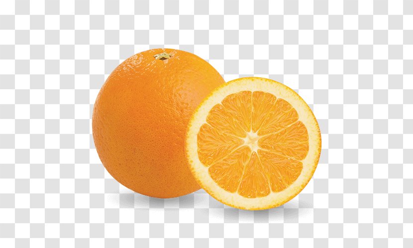 Blood Orange Mandarin Tangerine Valencia Tangelo - Clementine - Grapefruit Transparent PNG