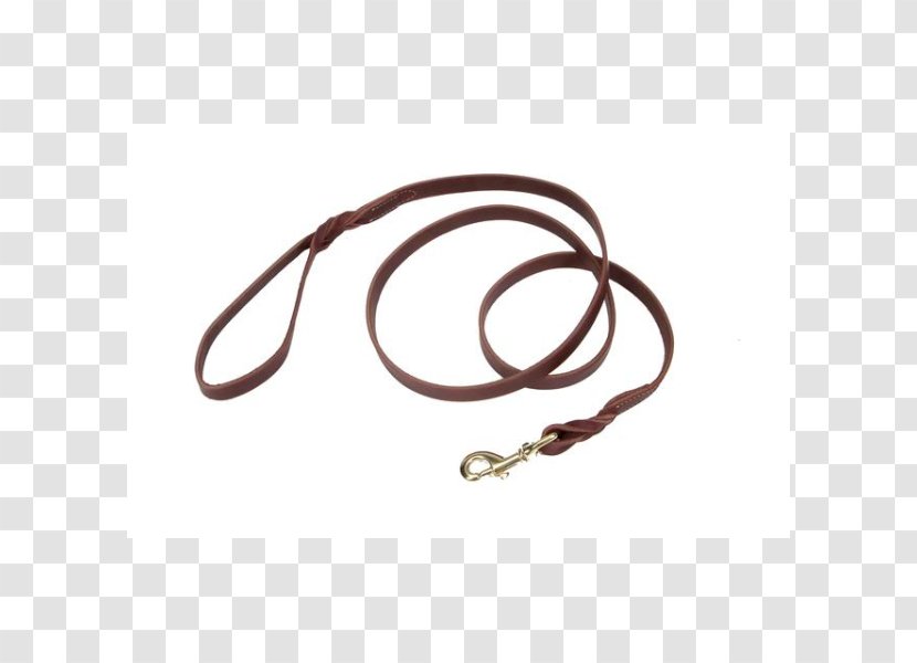 Leash Dog Ren's Pets Depot RC Pet Products Limited Hardware Random Number Generator - Natural Rubber Transparent PNG