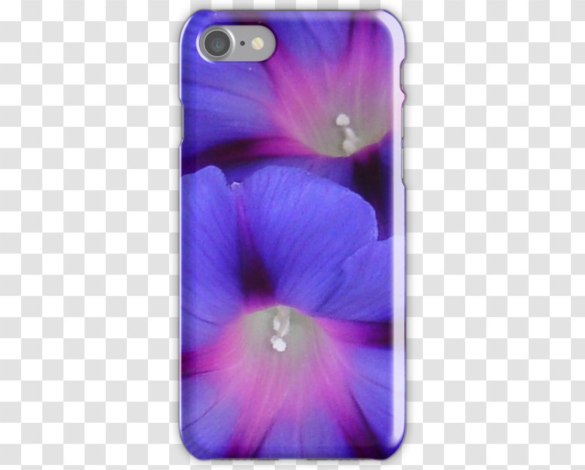 Pansy Violet Pink Thin-shell Structure Petal - Flowering Plant - Morning Glory Transparent PNG