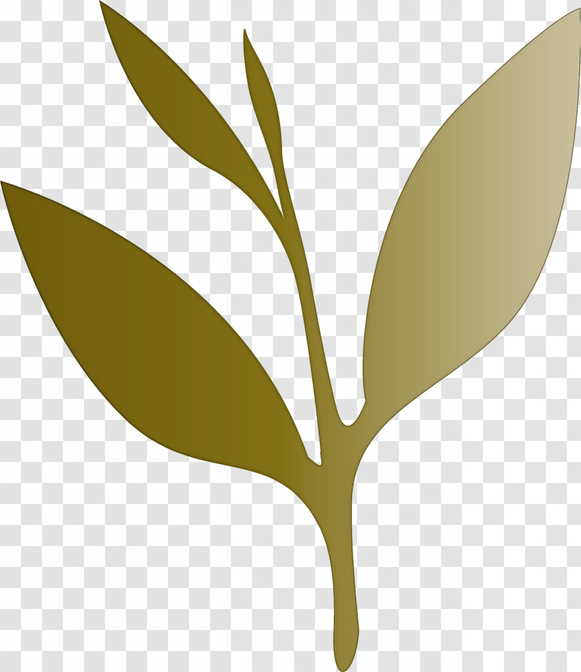 Tea Leaves Leaf Spring Transparent PNG