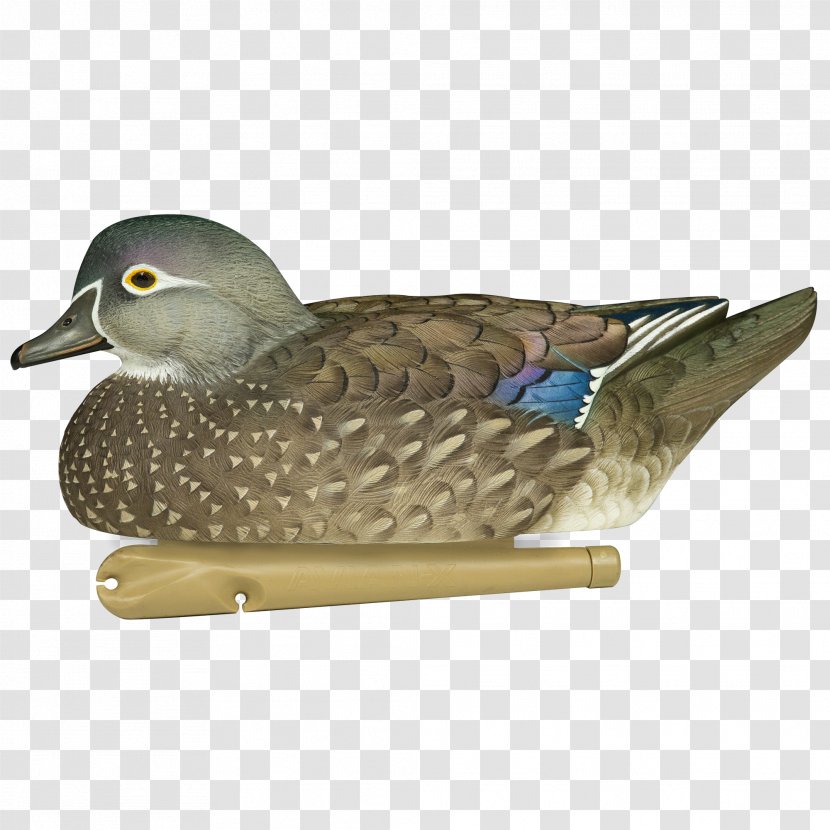 Mallard Duck Decoy Goose - Wood Carving Transparent PNG