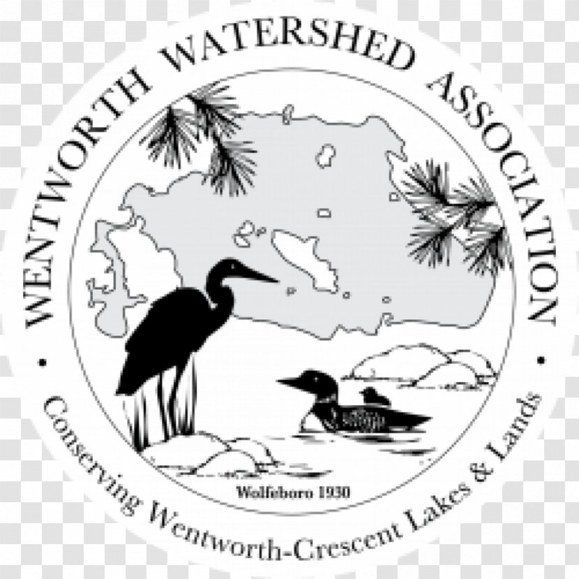 Wolfeboro Wentworth Beak England WASR - Water - American Society For Quality Milwaukee Transparent PNG