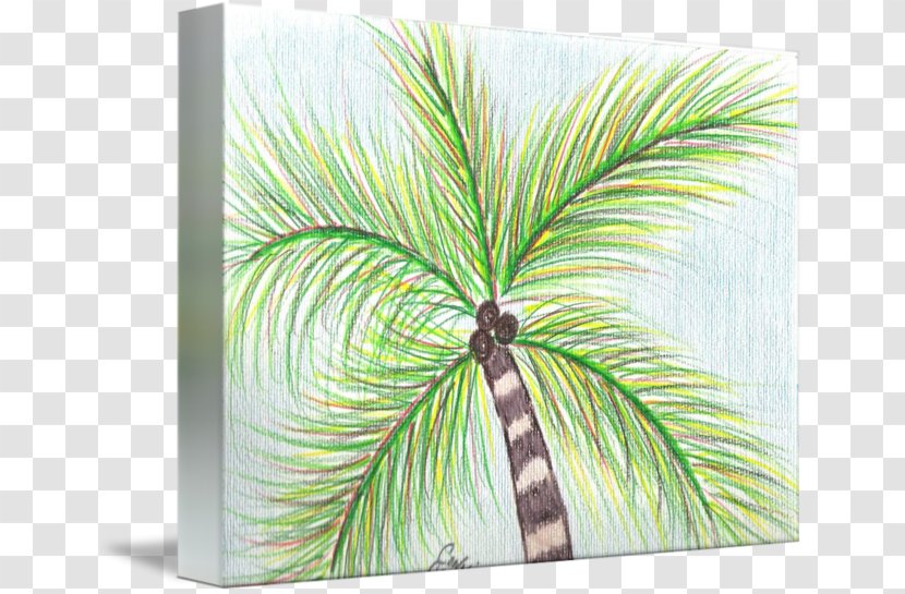 Date Palm Leaf Arecaceae - Tree Transparent PNG
