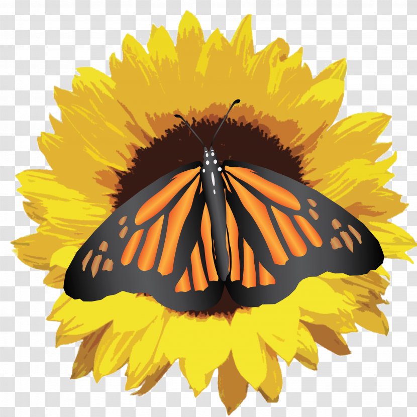 Clip Art Image Sunflower Desktop Wallpaper - Monarch Butterfly Transparent PNG