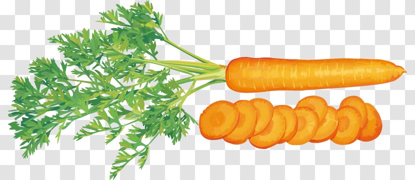 Juice Vegetable Carrot Tomato - Slices Vector Material Transparent PNG