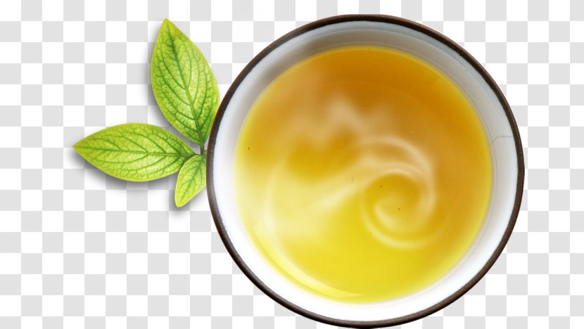 Tea Download Mint Clip Art - Dish - Cup Transparent PNG