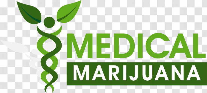 Florida Medical Cannabis Marijuana Card Cannabidiol - Plant Transparent PNG