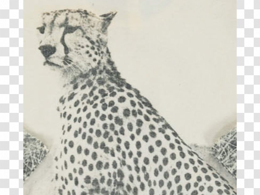 Cheetah Leopard T-shirt Leggings Skirt - Big Cats Transparent PNG