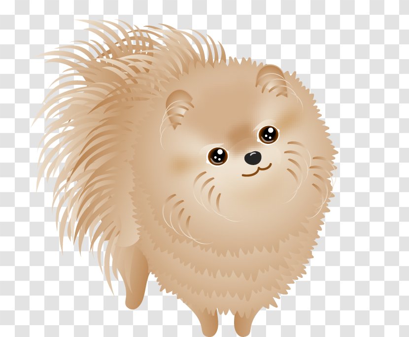 Pomeranian Dog Breed Puppy Non-sporting Group - Non Sporting - Pictures Transparent PNG