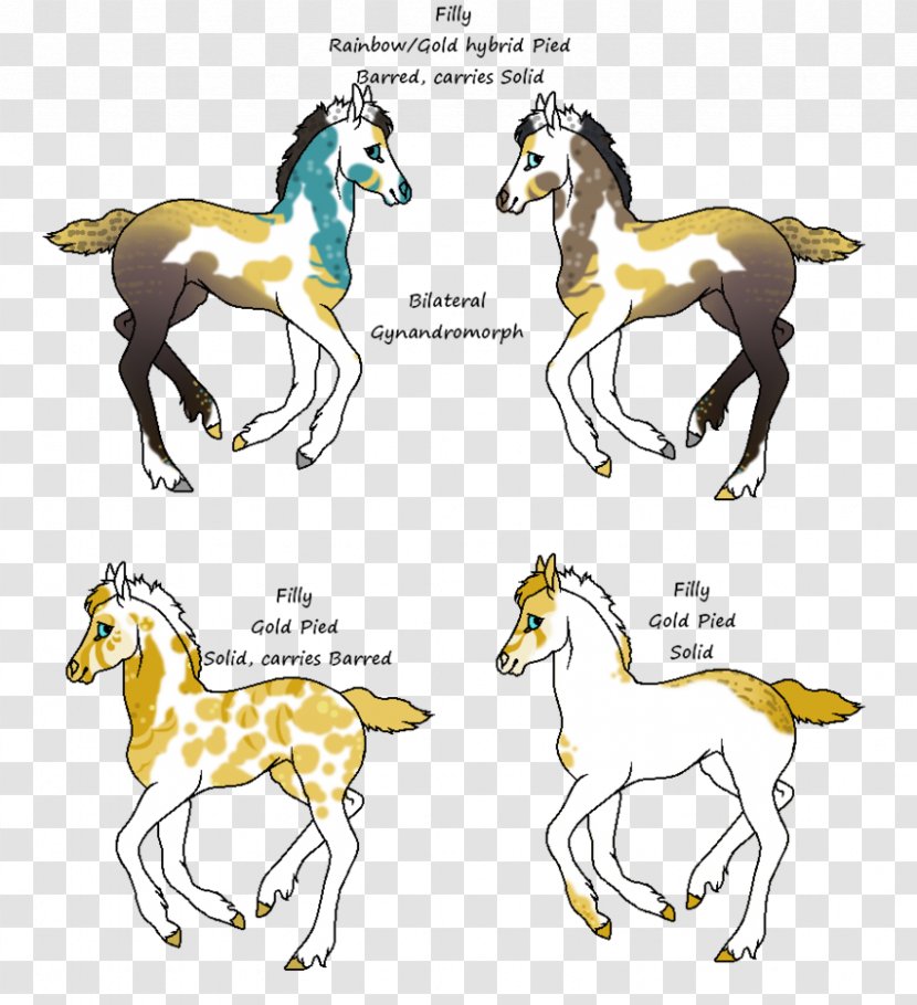 Mustang Foal Stallion Halter Mane - Wildlife - Buy Raffle Tickets Transparent PNG